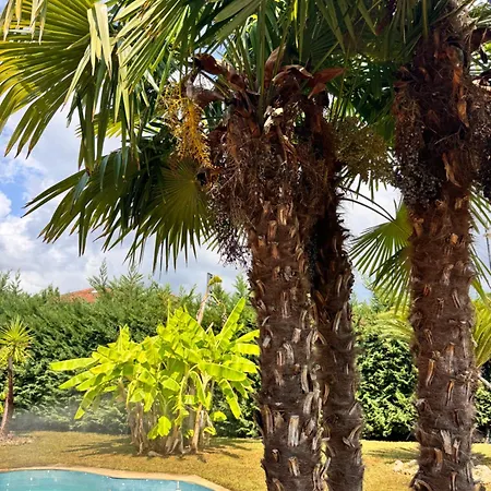 Villa Graziosa *